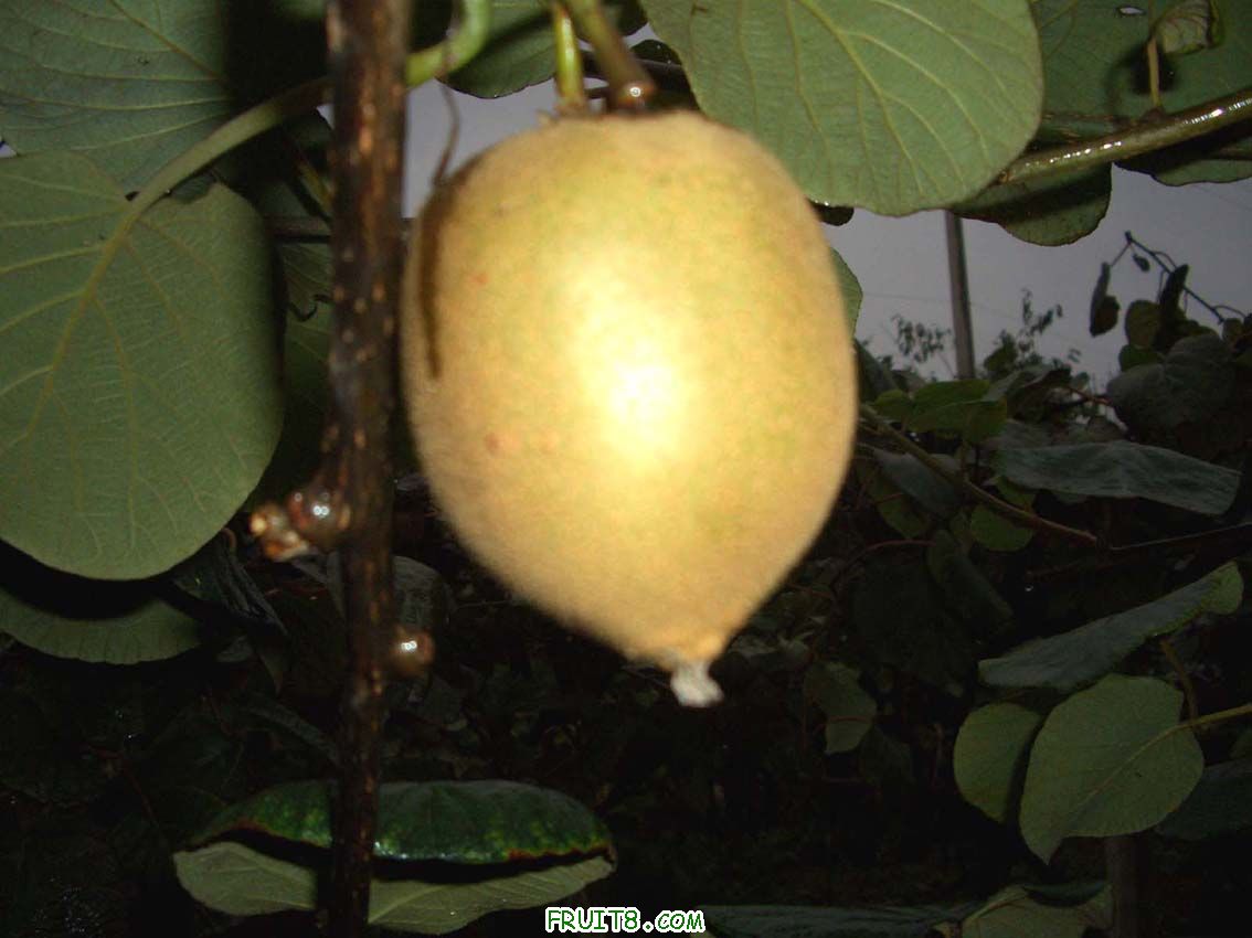 CIMG0437.JPG