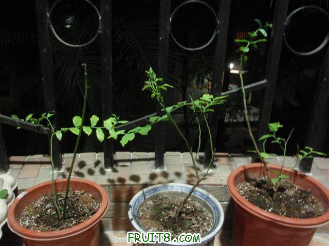 P1010101.JPG