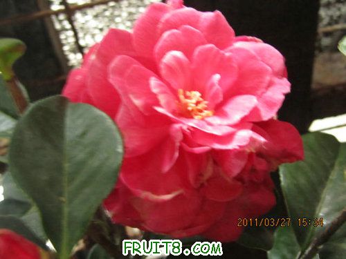 IMG_8862.JPG