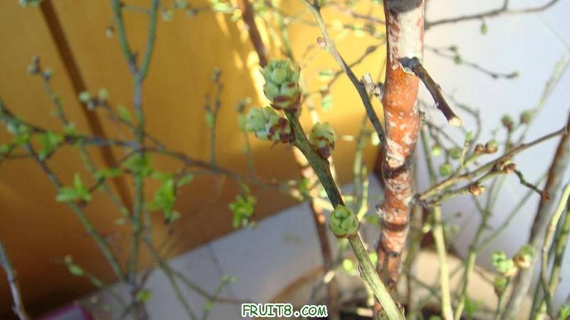 DSC01524.JPG