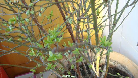 DSC01521.JPG