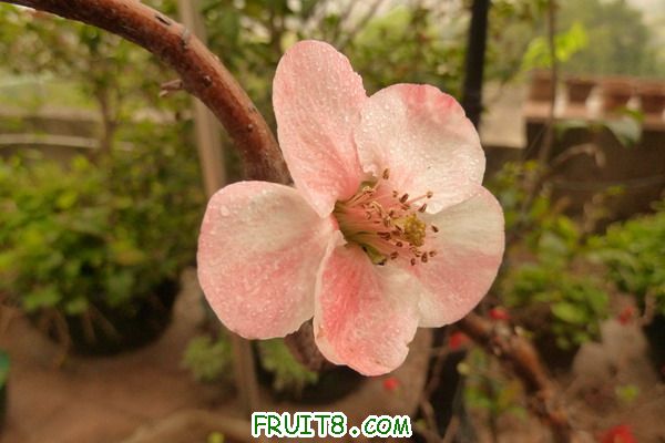 ԰ 096_resize.jpg