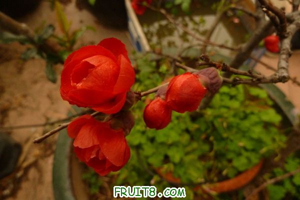 ԰ 088_resize.jpg