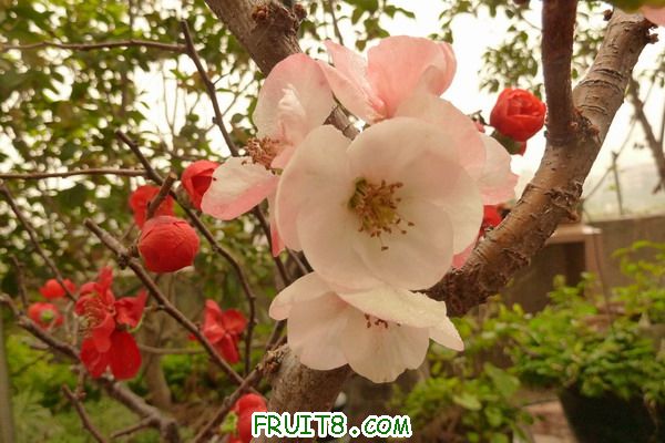 ԰ 097_resize.jpg