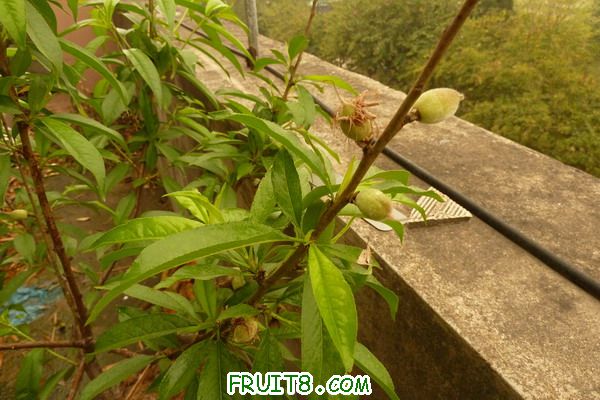 ԰ 095_resize.jpg
