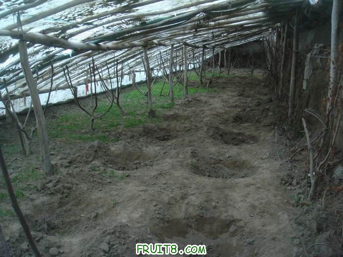 Resize of DSC06279.JPG