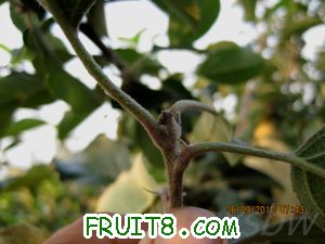 IMG_3057.jpg
