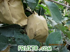 IMG_3055.jpg