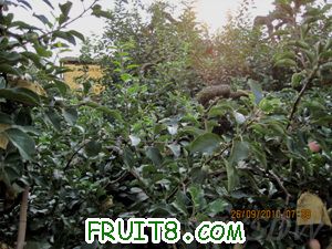 IMG_3045.jpg