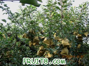 IMG_3069.jpg