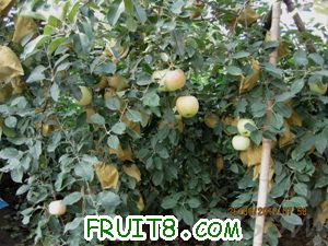 IMG_3062.jpg