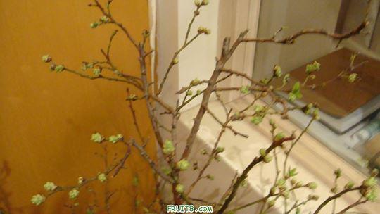 DSC01545.JPG