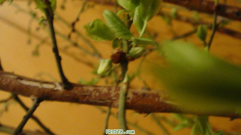 DSC01538.JPG