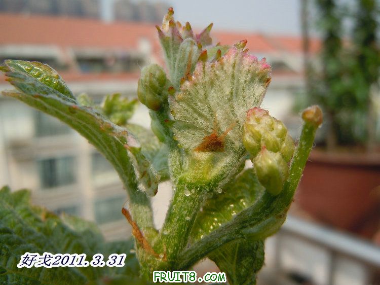 DSCN1217.JPG