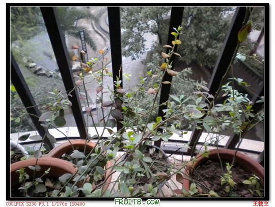 DSCN2187.jpg