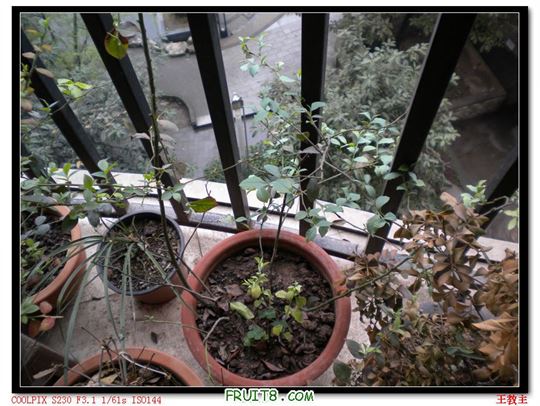 DSCN2188.jpg