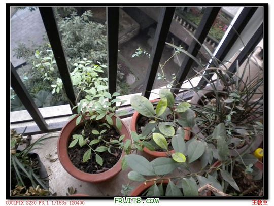 DSCN2191.jpg