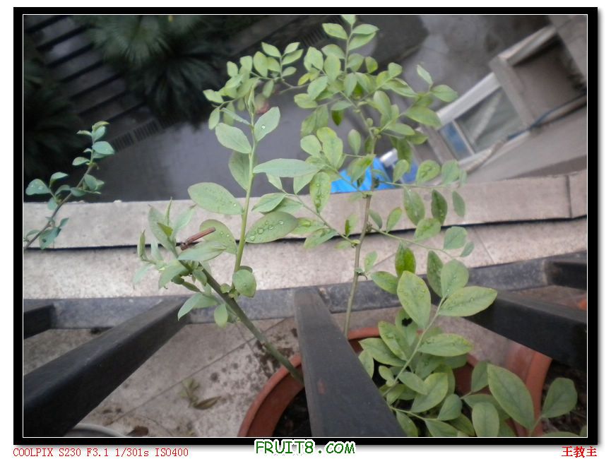 DSCN2190.jpg