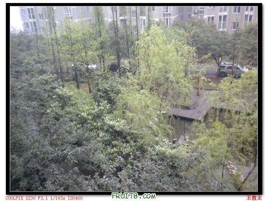 DSCN2198.jpg