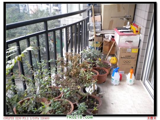 DSCN2200.jpg