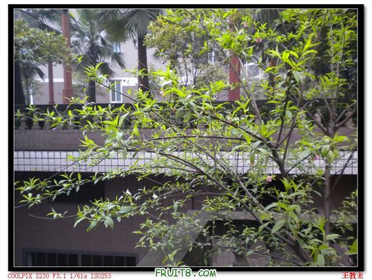 DSCN2220.jpg