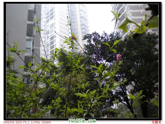 DSCN2221.jpg