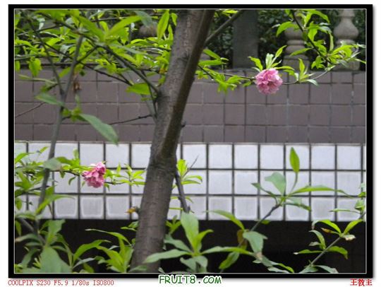 DSCN2224.jpg