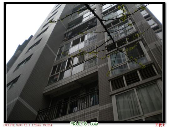 DSCN2225.jpg