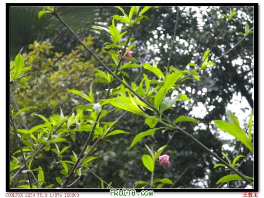 DSCN2223.jpg