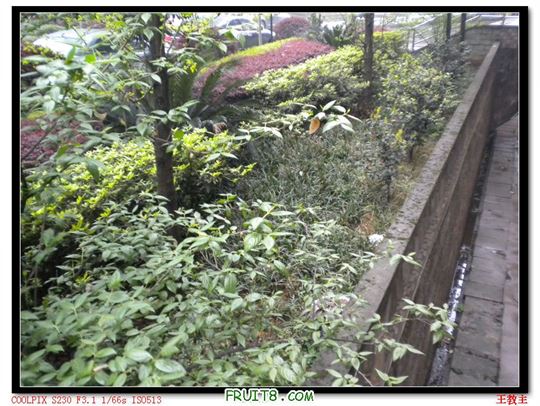 DSCN2228.jpg