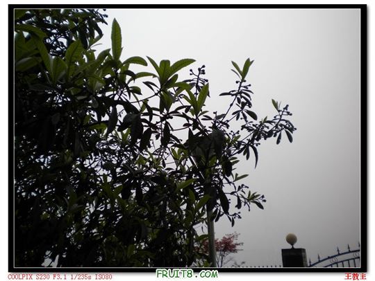 DSCN2236.jpg