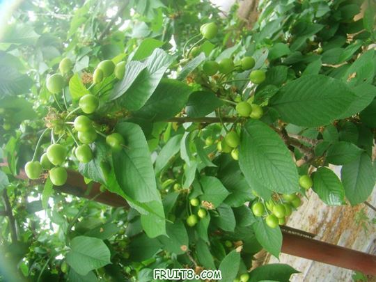 nEO_IMG_DSC01977.jpg