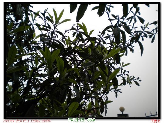 DSCN2240.jpg