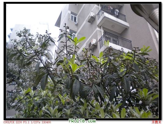 DSCN2241.jpg