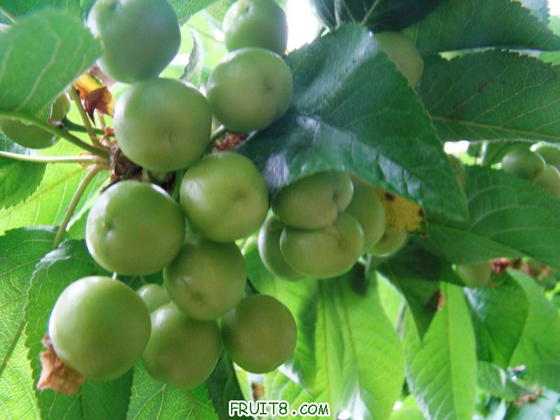 nEO_IMG_DSC01982.jpg