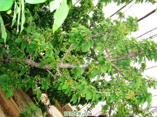 nEO_IMG_DSC01992.jpg