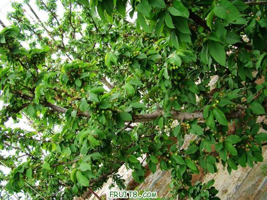 nEO_IMG_DSC01994.jpg