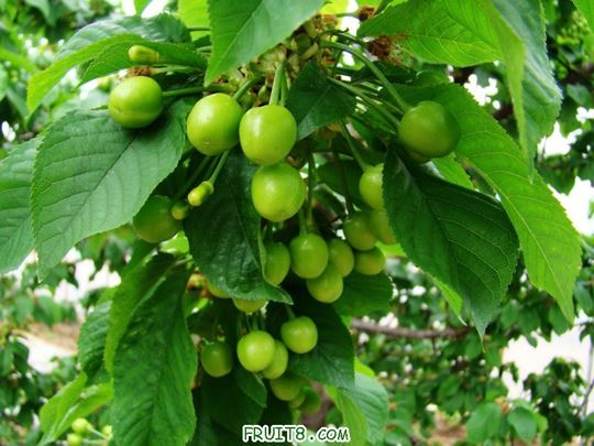 nEO_IMG_DSC02002.jpg