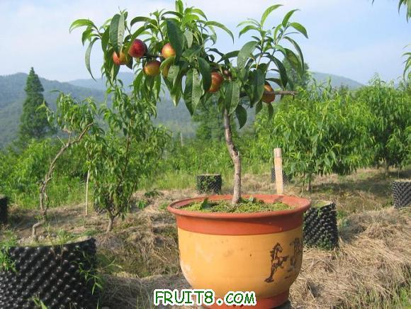 �����辰 060.jpg