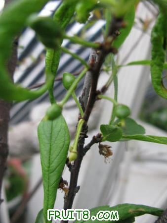 IMG_6075.JPG