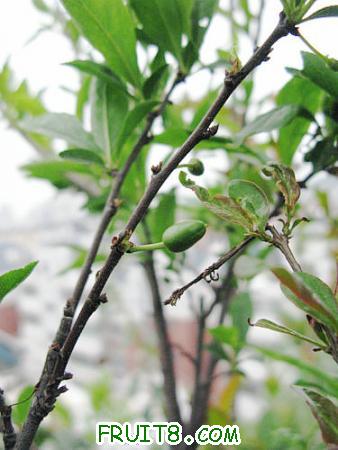 IMG_6085.JPG