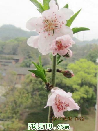 IMG_5648.JPG
