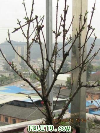 IMG_5655.JPG