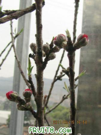 IMG_5663.JPG