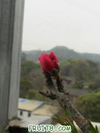 IMG_5658.JPG