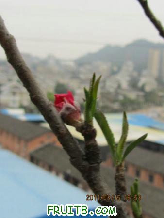 IMG_5657.JPG