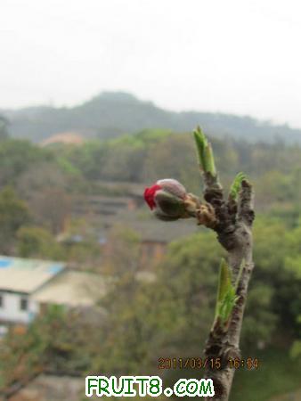 IMG_5661.JPG