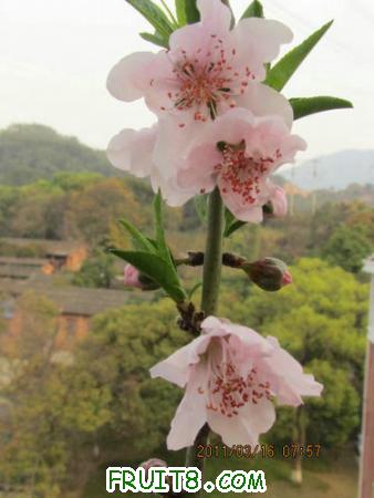 IMG_6039.JPG