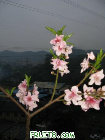 IMG_4029.JPG