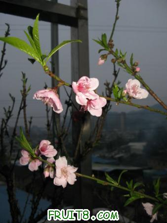 IMG_4030.JPG